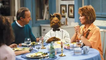 Zasłona к сериалу "ALF" #1329931
