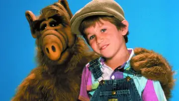 Zasłona к сериалу "ALF" #1329933