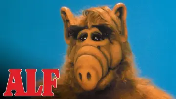Zasłona к сериалу "ALF" #1329942