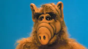 Zasłona к сериалу "ALF" #1329944