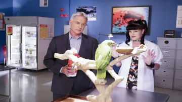 Zasłona do serialu "Agenci NCIS" #1586564