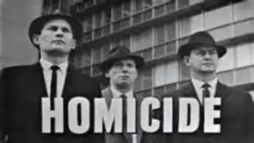 Zasłona do serialu "Homicide" #1362509