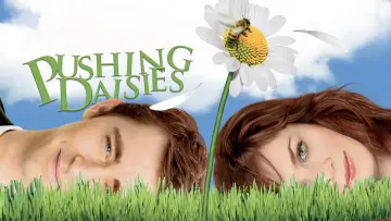Zasłona к сериалу "Pushing Daisies" #1459450