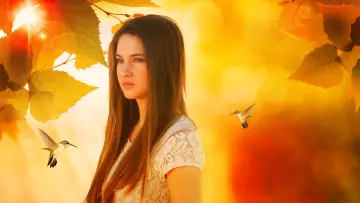 Zasłona к сериалу "The Secret Life of the American Teenager" #1333849
