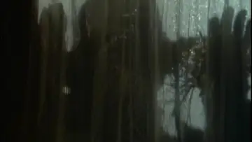 Zasłona к сериалу "Gęsia skórka" #1360218