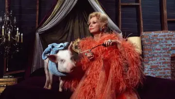 Zasłona к сериалу "Zielone Acres" #1307961