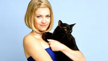 Zasłona к сериалу "Sabrina, nastoletnia czarownica" #1297811