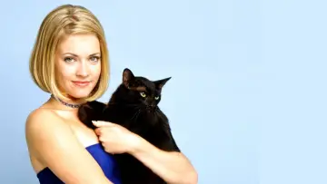 Zasłona к сериалу "Sabrina, nastoletnia czarownica" #1297845