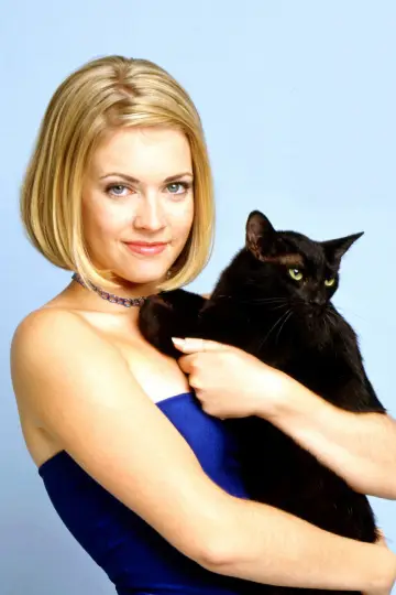 Plakat к сериалу "Sabrina, nastoletnia czarownica" #1297905