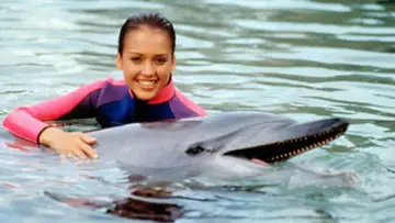 Zasłona do serialu "Flipper" #1595471