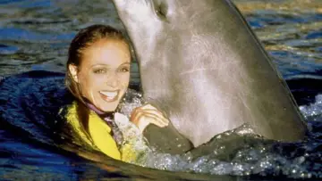 Zasłona do serialu "Flipper" #1595484