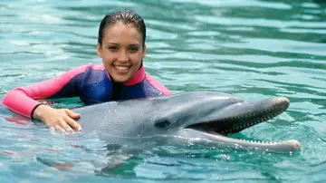 Zasłona do serialu "Flipper" #1595486
