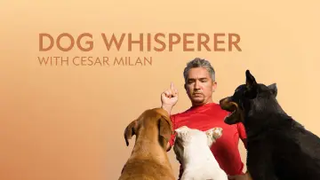 Zasłona к сериалу "Dog Whisperer" #1444527