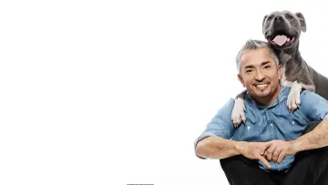 Zasłona к сериалу "Dog Whisperer" #1444530