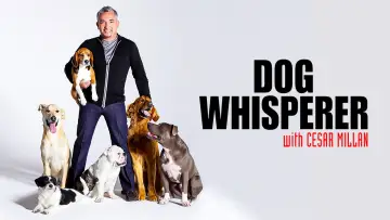 Zasłona к сериалу "Dog Whisperer" #1444533