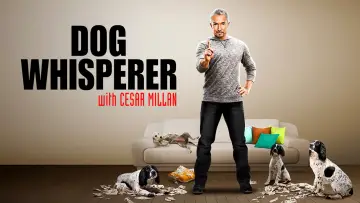Zasłona к сериалу "Dog Whisperer" #1444534