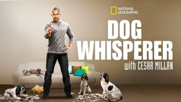 Zasłona к сериалу "Dog Whisperer" #1444535