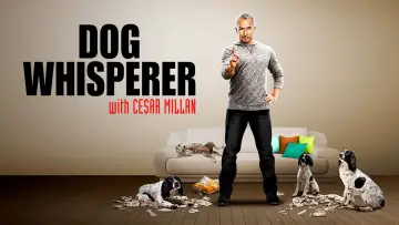 Zasłona к сериалу "Dog Whisperer" #1444536