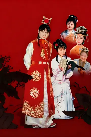 红楼梦 plakat