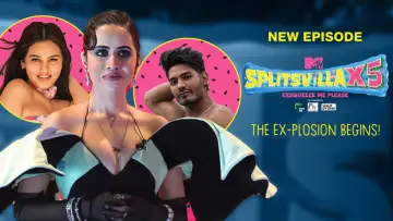 Zasłona do serialu "MTV Splitsvilla" #1355007