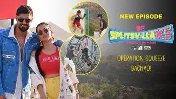 Zasłona do serialu "MTV Splitsvilla" #1355011