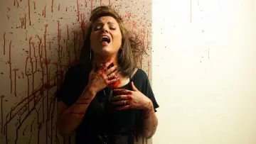 Zasłona do serialu "W domu zombie" #1465996