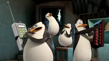 Zasłona к сериалу "Pingwiny z Madagaskaru" #1274939