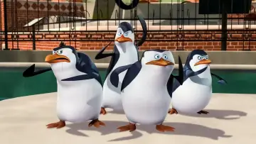 Zasłona к сериалу "Pingwiny z Madagaskaru" #1274951
