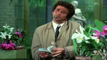 Zasłona к сериалу "Columbo" #1257081