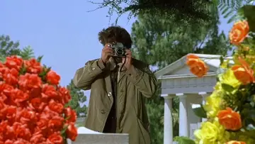 Zasłona к сериалу "Columbo" #1257088