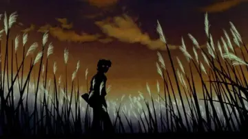 Zasłona к сериалу "Neon Genesis Evangelion" #1311145