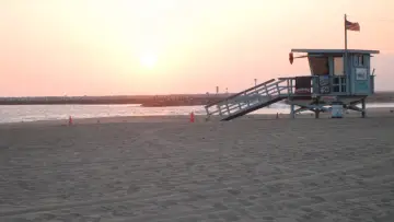 Zasłona do serialu "Son of the Beach" #1658357