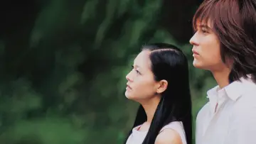 Zasłona к сериалу "流星花園" #1372345