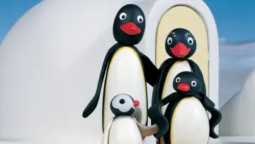 Zasłona do serialu "Pingu" #1364243