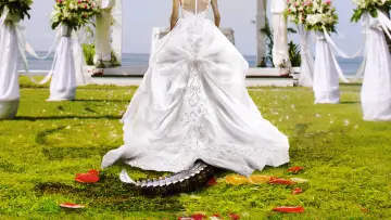 Zasłona do serialu "Bridezillas" #1413439