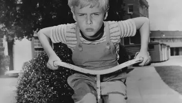 Zasłona к сериалу "Dennis the Menace" #1371204
