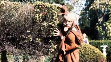 Zasłona do serialu "Catweazle" #1908647