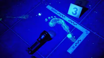 Zasłona к сериалу "Forensic Files" #1338729