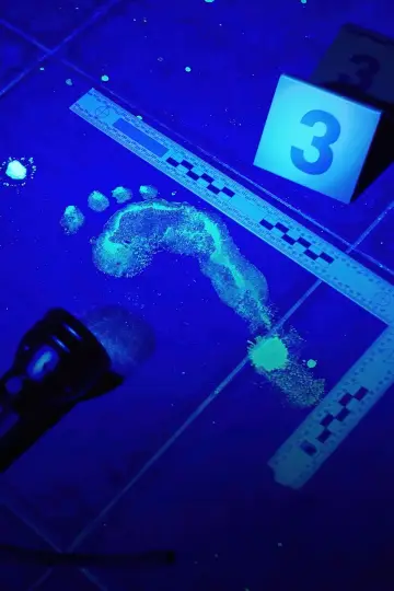 Plakat к сериалу "Forensic Files" #1338742