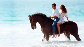 Zasłona к сериалу "Marimar" #1389640