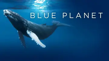 Zasłona к сериалу "Błękitna planeta" #1455589