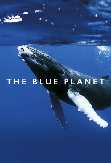 Plakat к сериалу "Błękitna planeta" #1455599