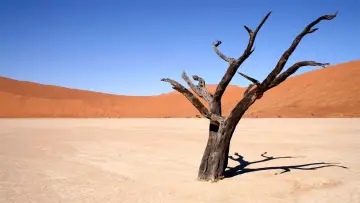 Zasłona к сериалу "Natura" #1293921