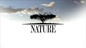 Zasłona к сериалу "Natura" #1293923