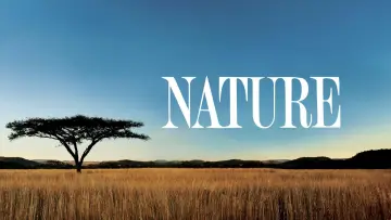 Zasłona к сериалу "Natura" #1293935