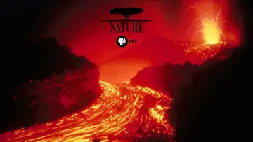 Zasłona к сериалу "Natura" #1293959