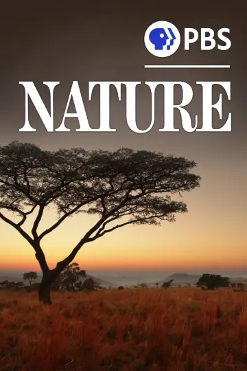 Plakat к сериалу "Natura" #1293978
