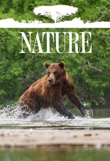 Plakat к сериалу "Natura" #1293979