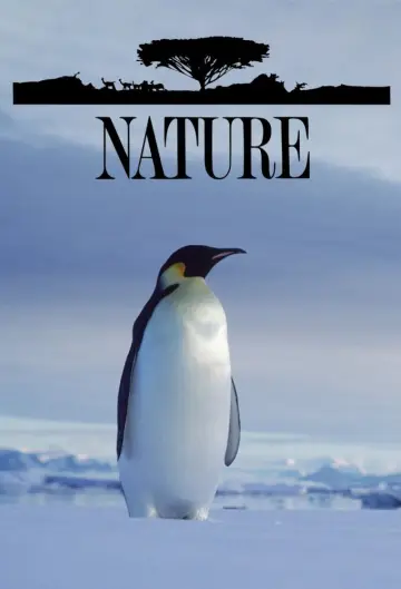 Plakat к сериалу "Natura" #1293980