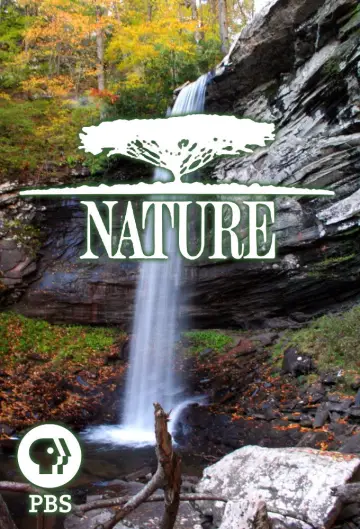 Plakat к сериалу "Natura" #1293985